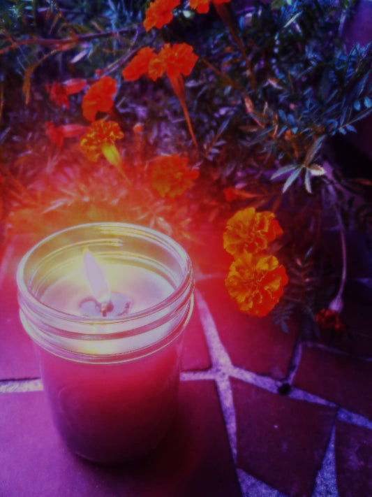 Paradise Candle
